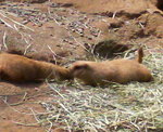 200702261247000.jpg