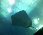 200703051528000.jpg